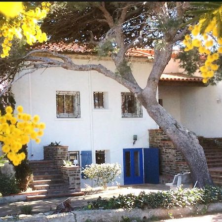 Villa Bleue - Les Pins Port Vendres Kültér fotó