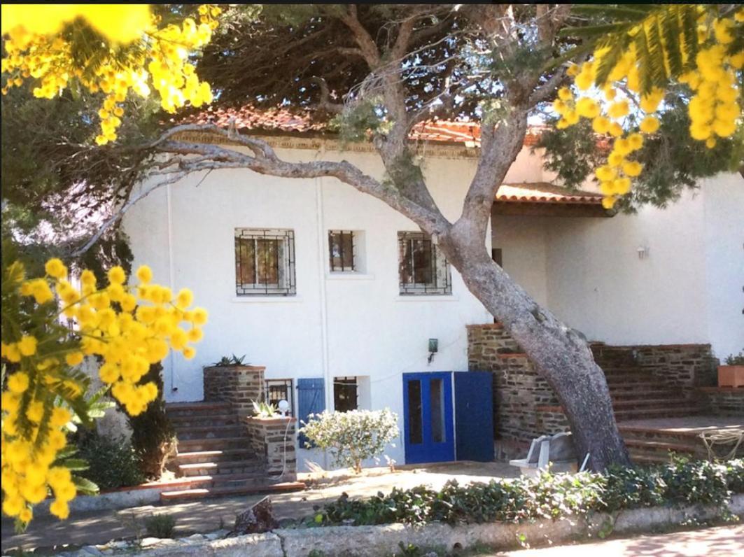 Villa Bleue - Les Pins Port Vendres Kültér fotó