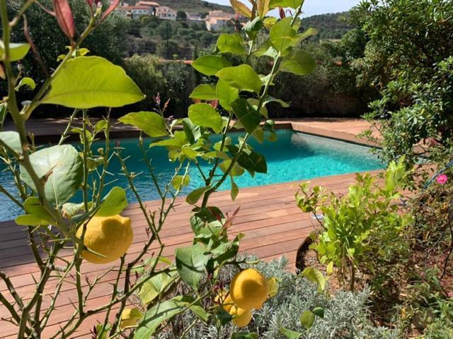 Villa Bleue - Les Pins Port Vendres Kültér fotó